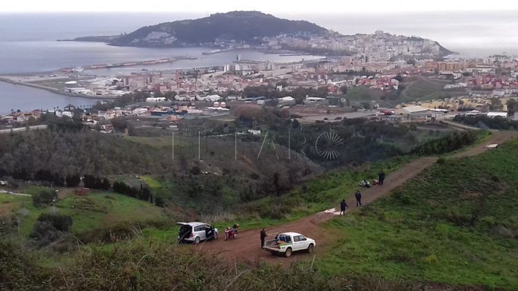reforestacion-obimasa-6