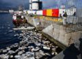 vertido-fuel-muelle-alfau-barco-2