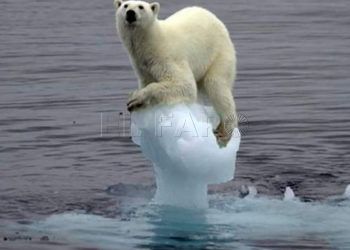 CAMBIO CLIMATICO 1