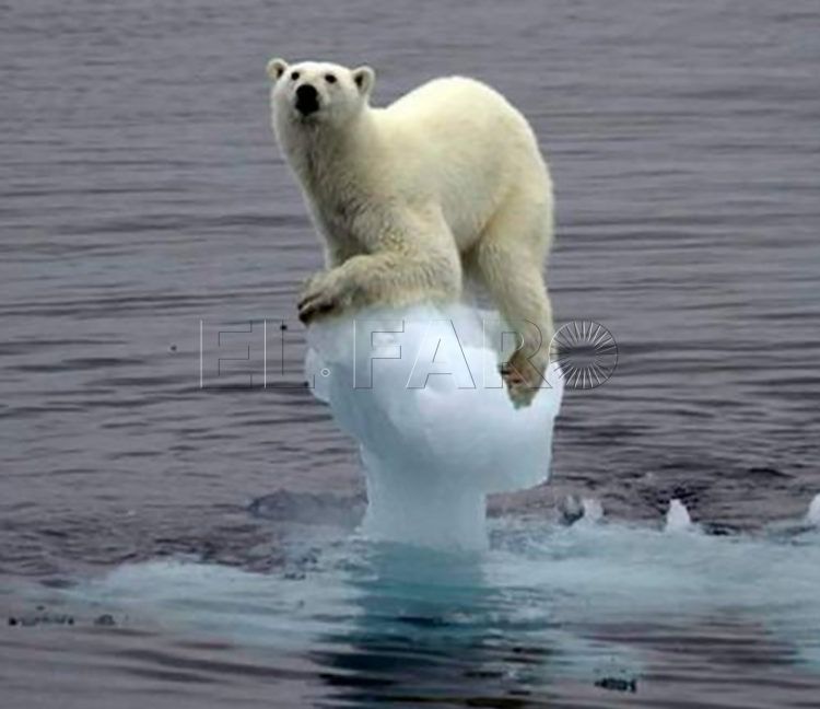 CAMBIO CLIMATICO 1