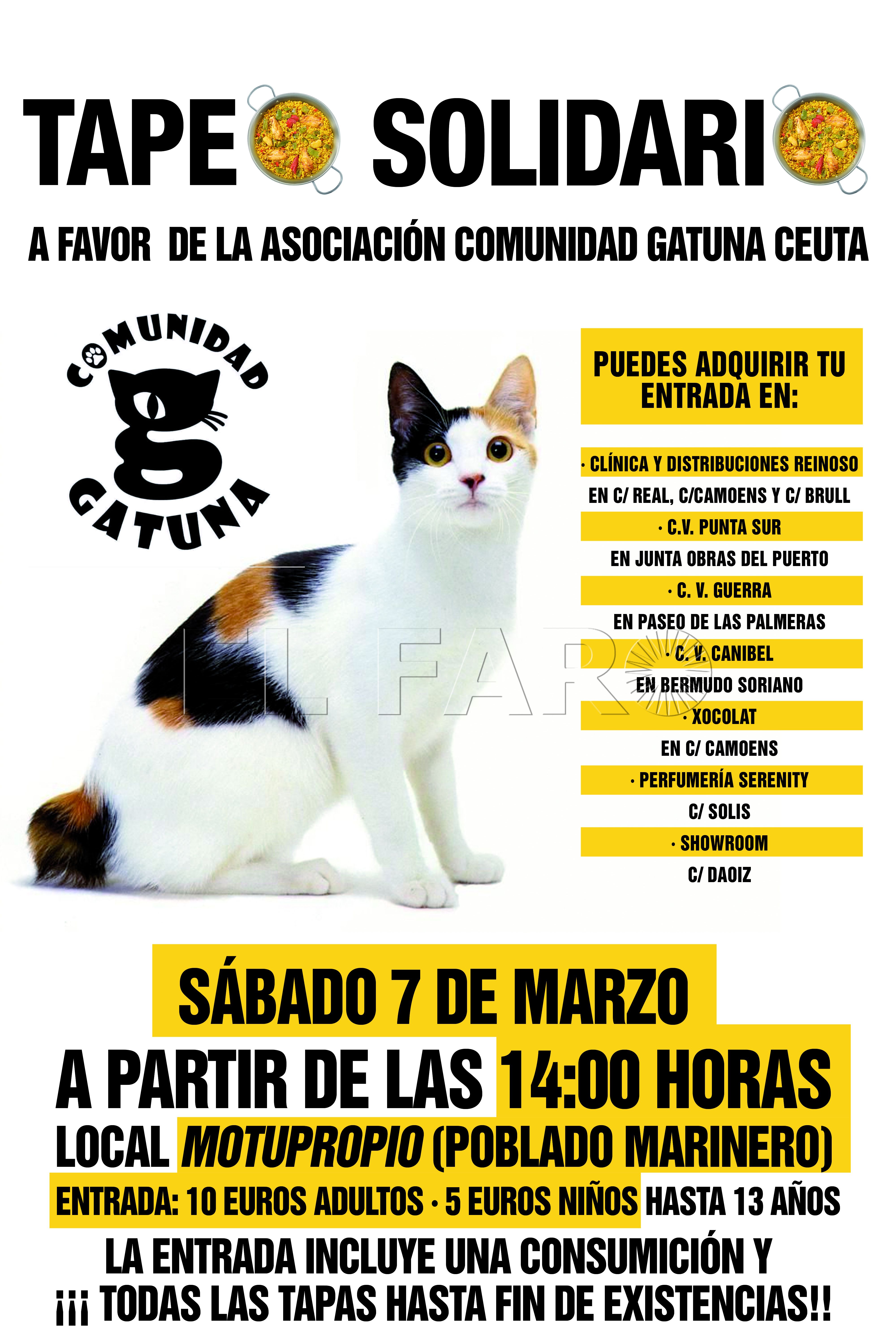 Tapeo-Solidario-comunidad-gatuna
