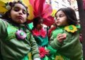 cabalgata-carnaval-2020-14