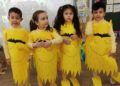 carnaval-colegio-santa-micaela-4
