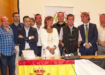 defensa-diputados-no-adscritos-vox