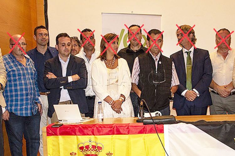 defensa-diputados-no-adscritos-vox