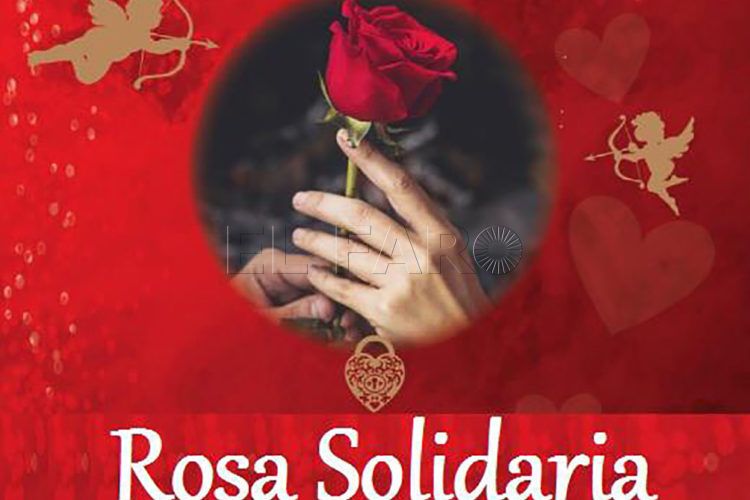 hermandad-rocio-ceuta-rosa-solidaria