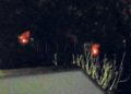 incendios-cocinar-chabolas-ceti-1