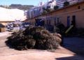labores-adecentamiento-puerto-pesquero-1