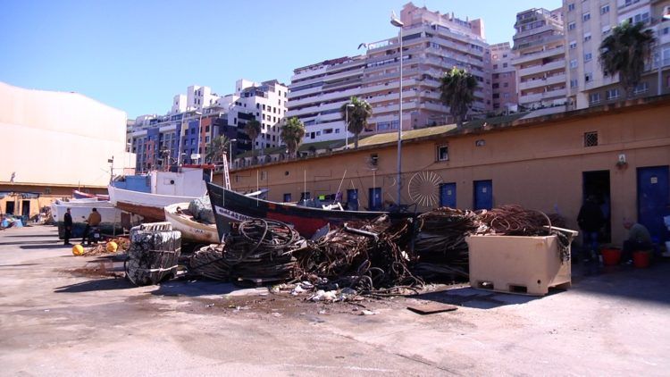 labores-adecentamiento-puerto-pesquero-3