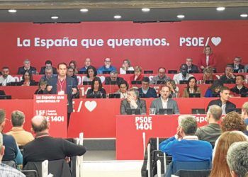 manuel-hernadez-ejecutiva-federal-psoe