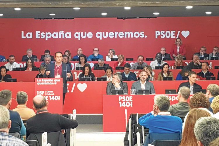 manuel-hernadez-ejecutiva-federal-psoe