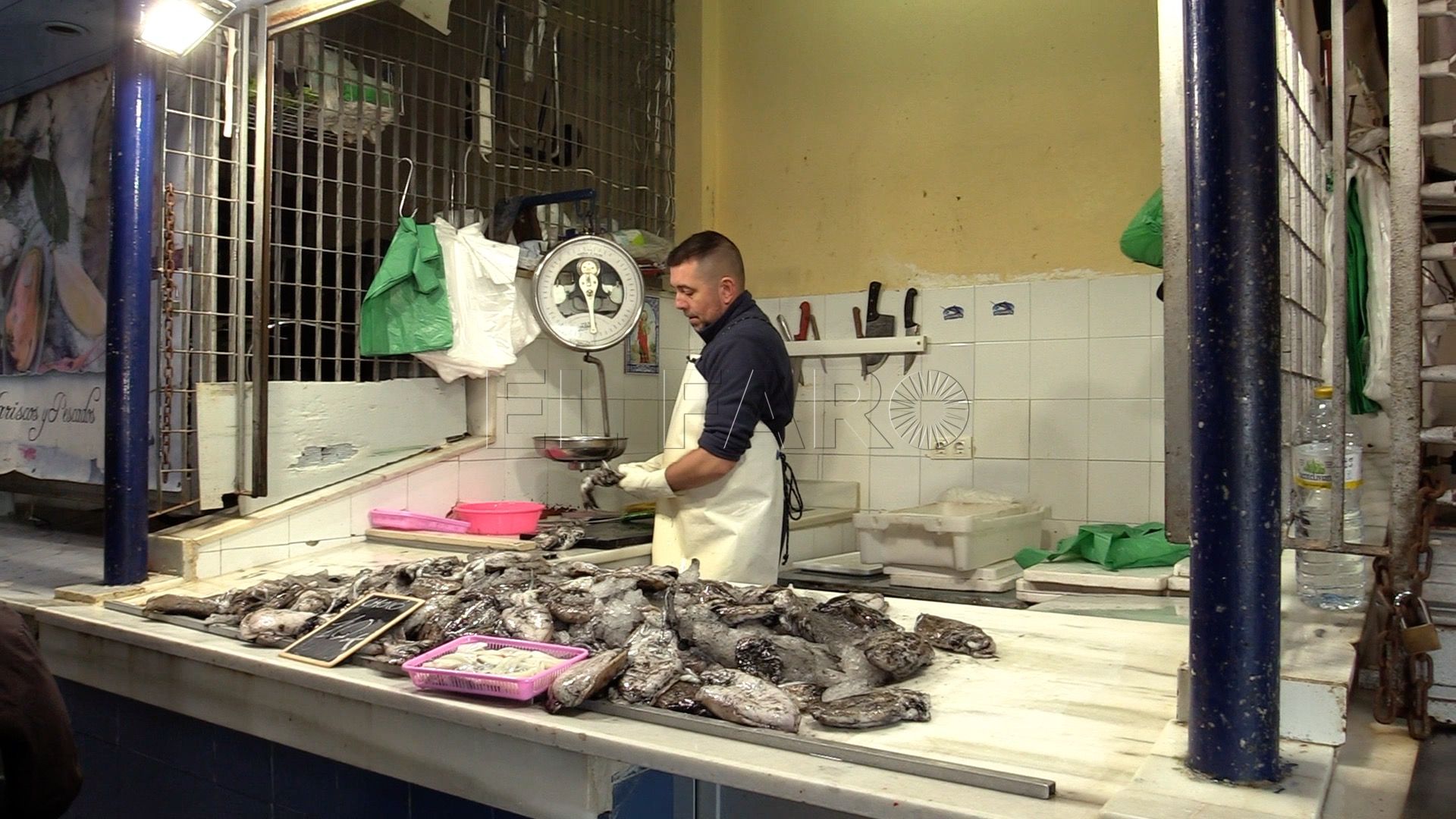 mercado-central-pescado-miercoles