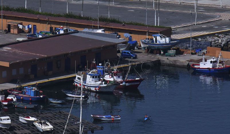 pesca-2