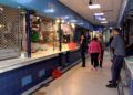 pescado-mercado-lunes-8