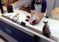 pescadores-bloqueo-marruecos-mercado-7