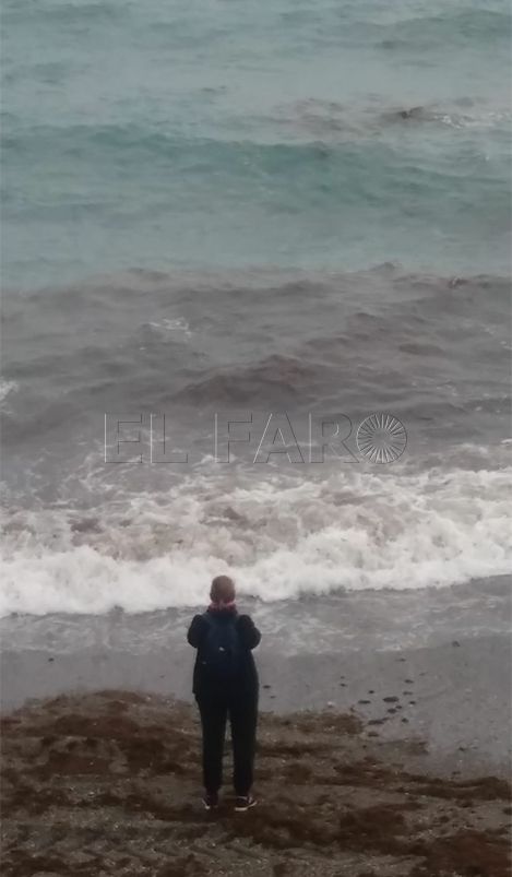 playa-algas-1