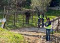 policia-operacion-busqueda-armas-8