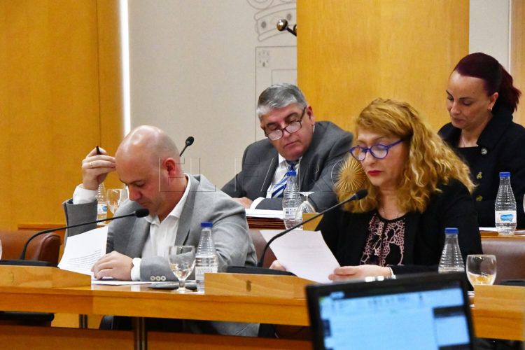 psoe-pleno-1