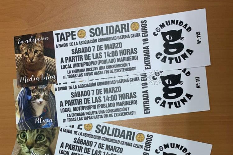 tapeo-solidario-gatos