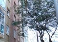 vecinos-parque-ceuta-1