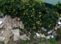vecinos-parque-ceuta-13