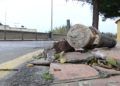 vecinos-parque-ceuta-20