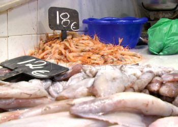 Pescado-4