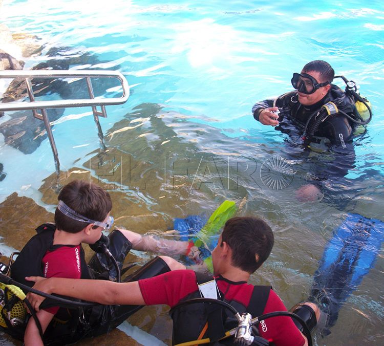 buceo