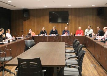 comision-femenina-federacion-futbol