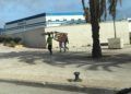 construccion-chabolas-alrededores-ceti-7