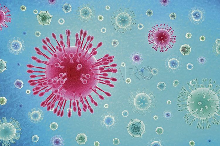 coronavirus