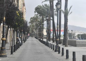 coronavirus-paseo-palmeras