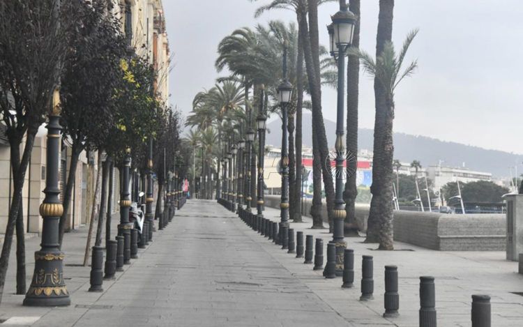 coronavirus-paseo-palmeras