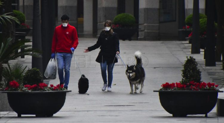 mascotas-paseo-coronavirus-mascarillas