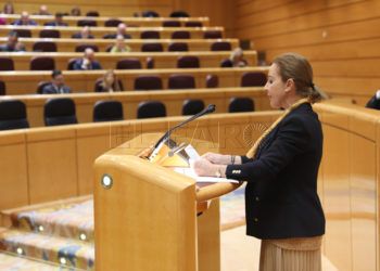 merelo-senadora-vox