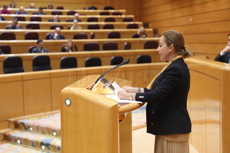 merelo-senadora-vox