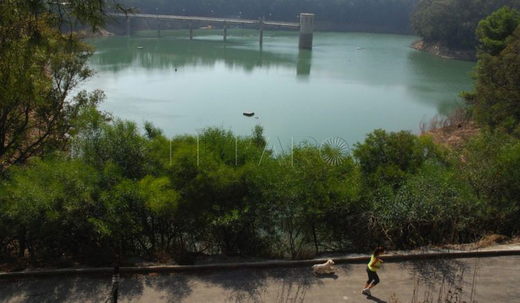 pantano