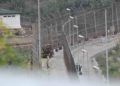 quinto-dia-estado-alarma-ceuta-23