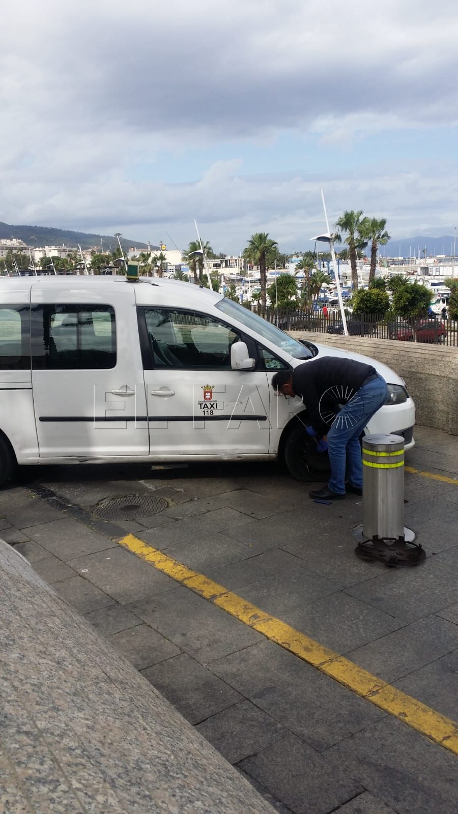 taxis-pivote-palmeras-2