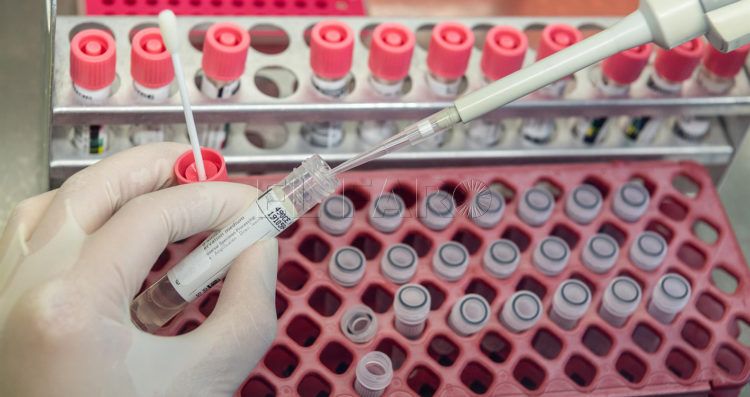 PCR-prueba-coronavirus