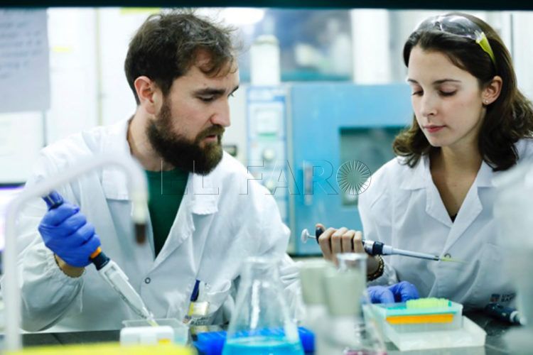 caixa-investigacion-coronavirus-2
