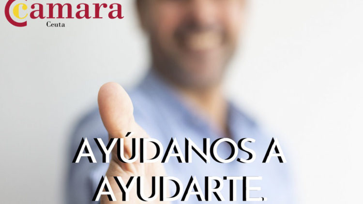 cartel-web-encuesta-camara-autonomos