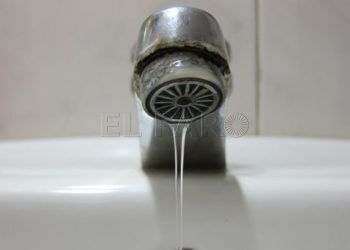 grifo-agua