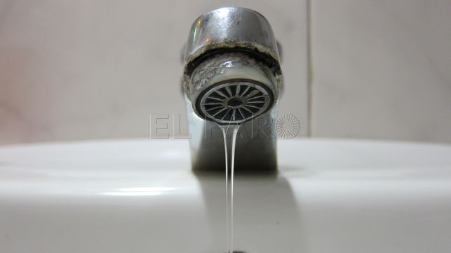 grifo-agua
