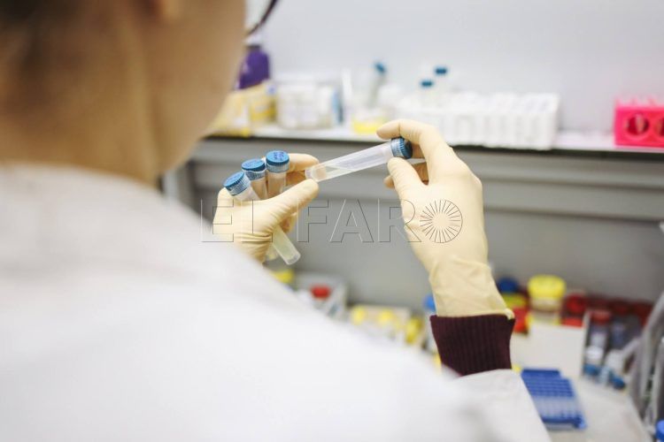 investigacion-coronavirus