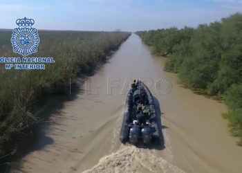 narcolancha-guadalquivir