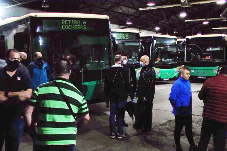 Autobuses-19