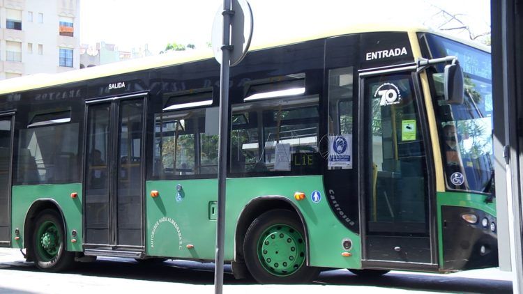 Autobuses_17