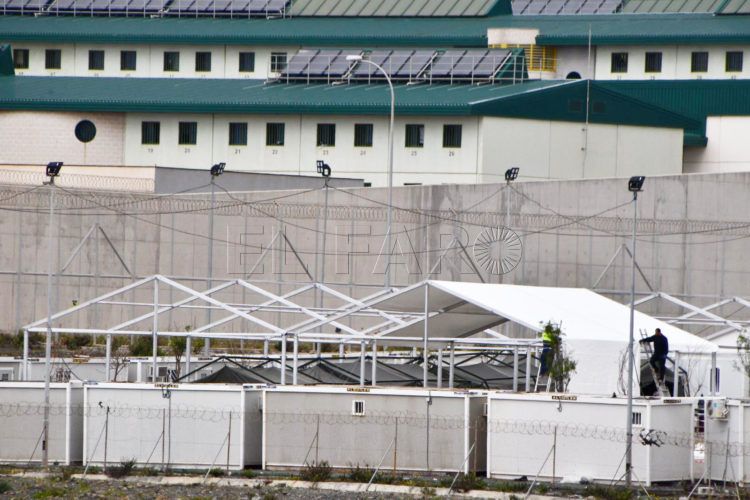 carpa-menores