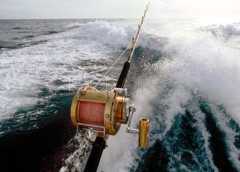 pesca-deportiva